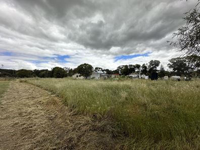 38 Lavender Street, Williams WA 6391