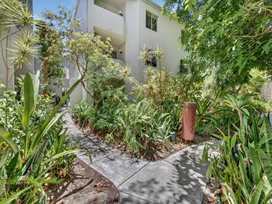 31/34 Smith Street, Highgate WA 6003