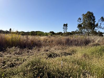 Lot 500 Hampton Road, Pinjarra WA 6208