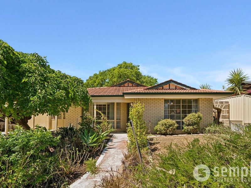 11 Pollard Court, Yangebup