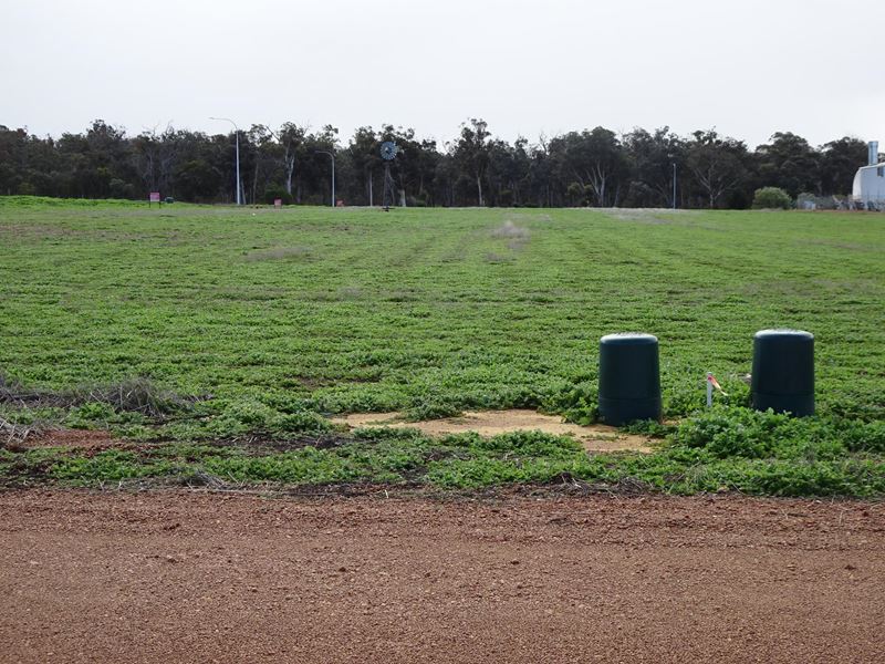 Ferguson  Way, Wandering WA 6308