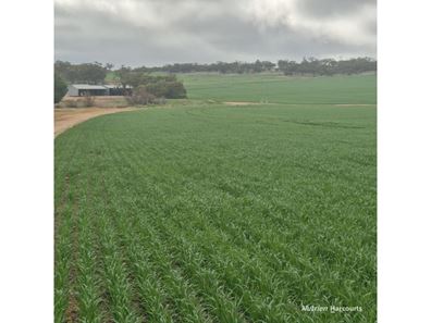 Tatiara Farm, Gilliminning Road, Wickepin WA 6370