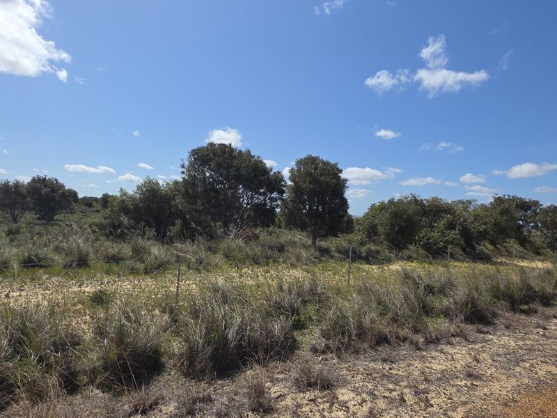 Lot 210,  Callistemon Loop, Nilgen WA 6044