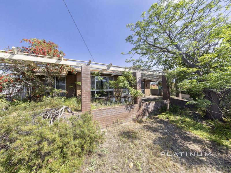 223 Gibson Avenue, Padbury