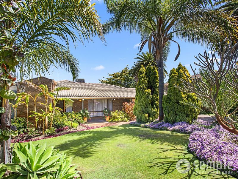 8 Chesterton Street, Spearwood WA 6163