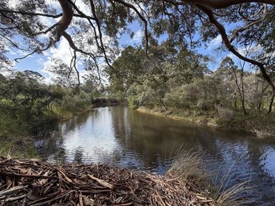 47 Pittam Way, Shadforth WA 6333