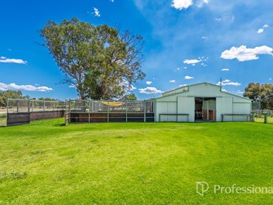 221 McNeill Road, Waroona WA 6215