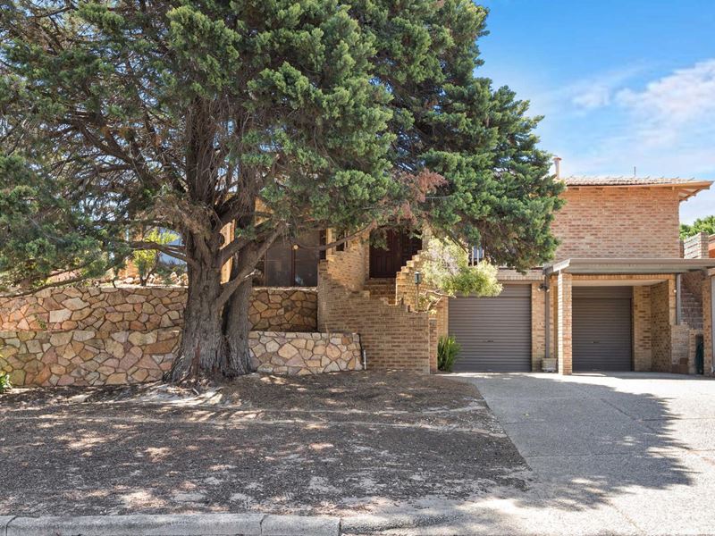 17 McGuiness Drive, Leeming
