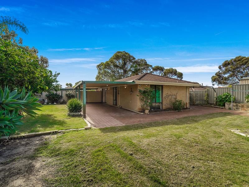 44 Williambury Drive, Yangebup
