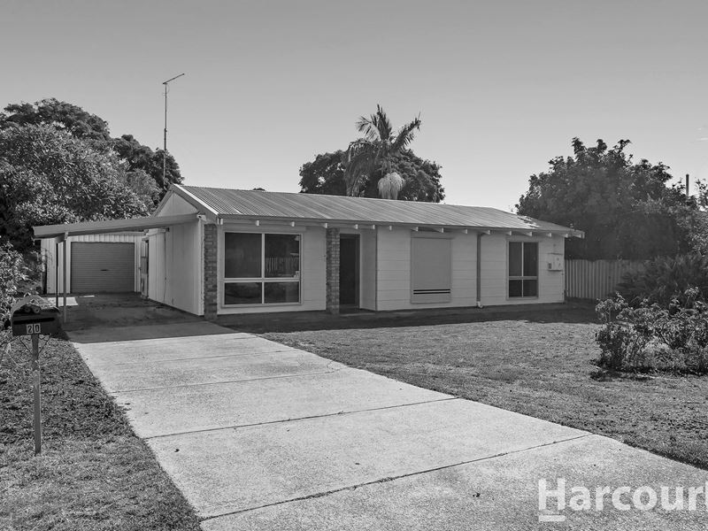 20 Yeulba Street, Falcon WA 6210