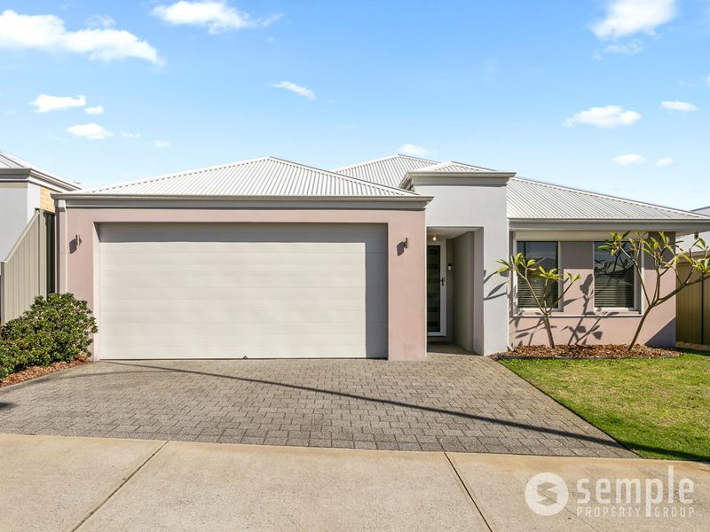 123 Honeywood Avenue, Wandi