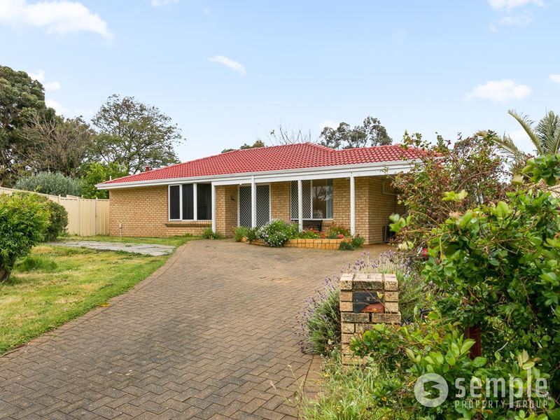 14 Napier Mews, Yangebup WA 6164