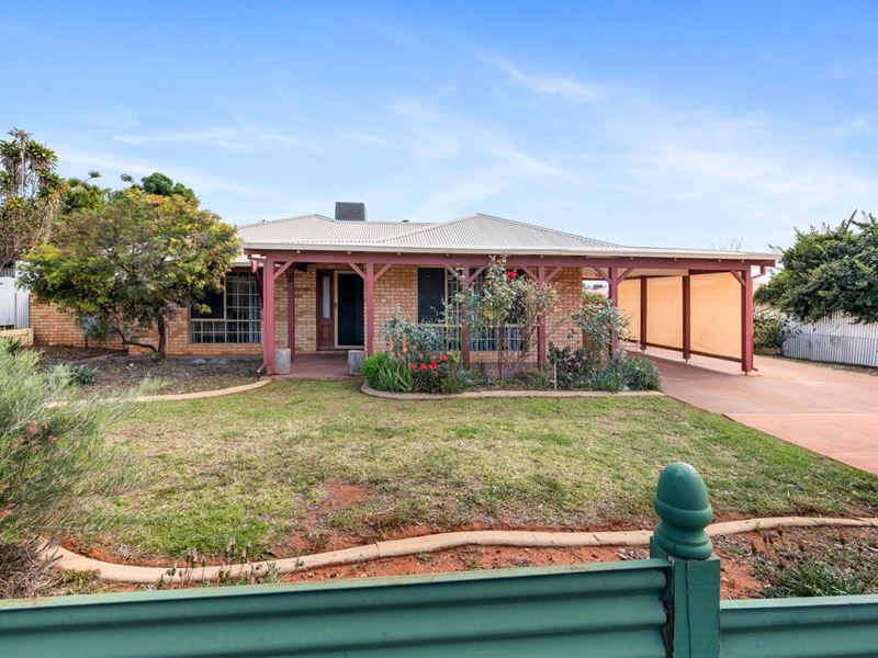 4 Geere Court, Hannans WA 6430