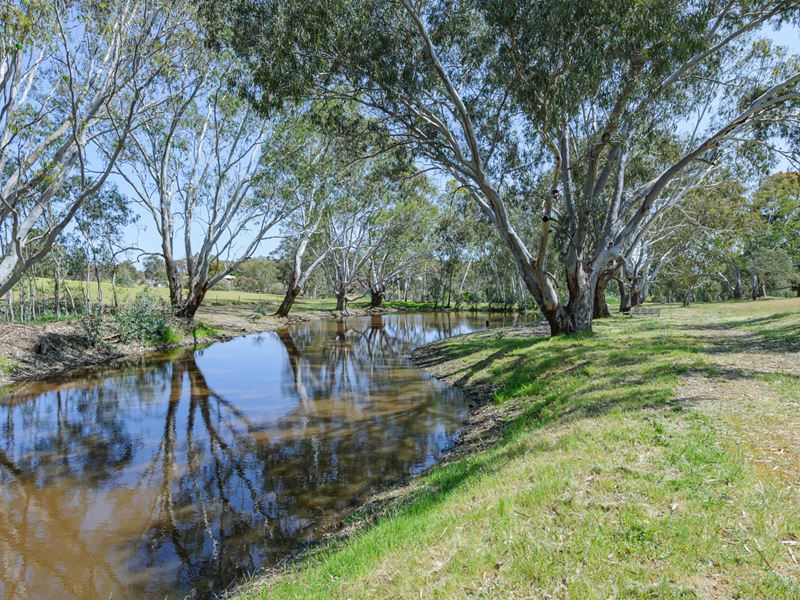 224 Smith Road, Bullsbrook