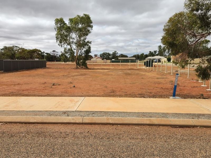 Lot 350 John Street, Perenjori