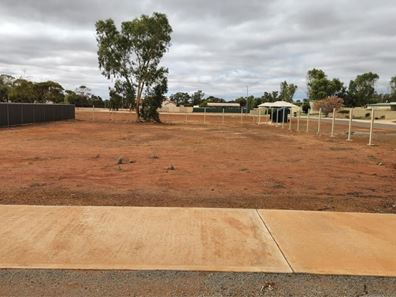 Lot 350 John Street, Perenjori WA 6620