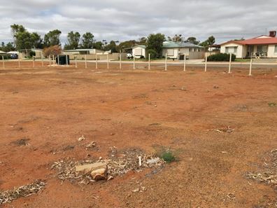 Lot 350 John Street, Perenjori WA 6620