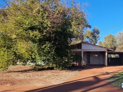 49 Nyabalee Road, Newman WA 6753