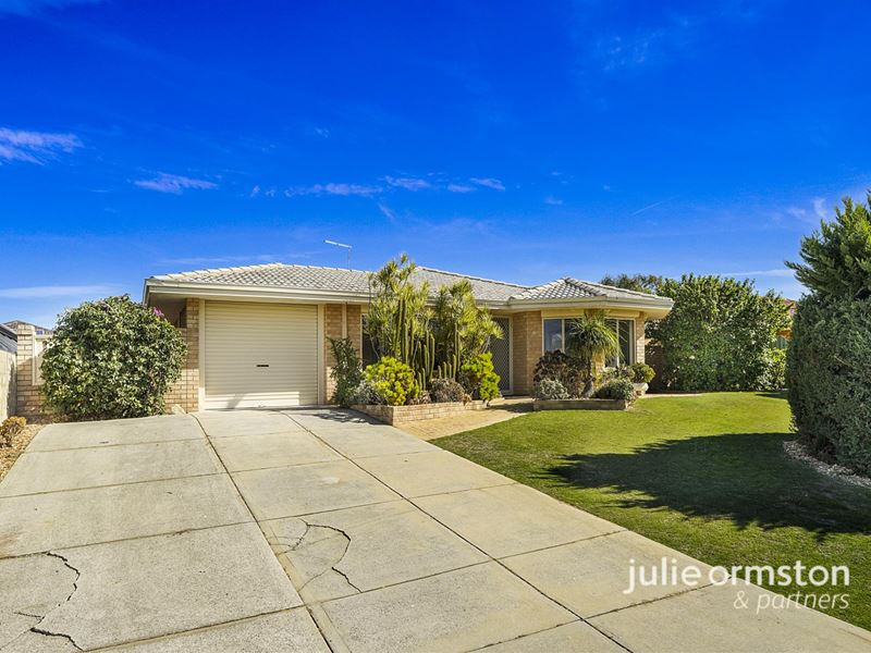 4 Tipuana Place, Edgewater WA 6027