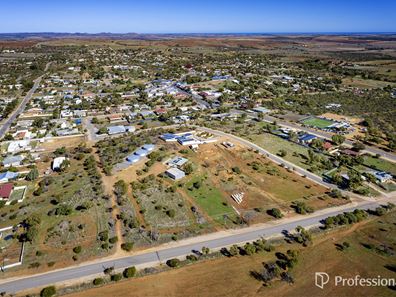 99 Wannerenooka Road, Northampton WA 6535