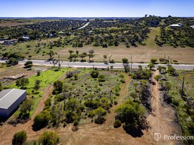 99 Wannerenooka Road, Northampton WA 6535