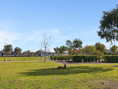 8 Minegara Lane, Ellenbrook WA 6069