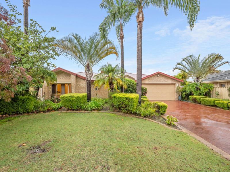 4 Caladenia Place, Canning Vale