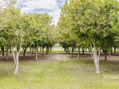 77 Feldts Road, Martin WA 6110