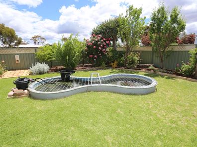 4 Ptilotus Crescent, Kambalda West WA 6442