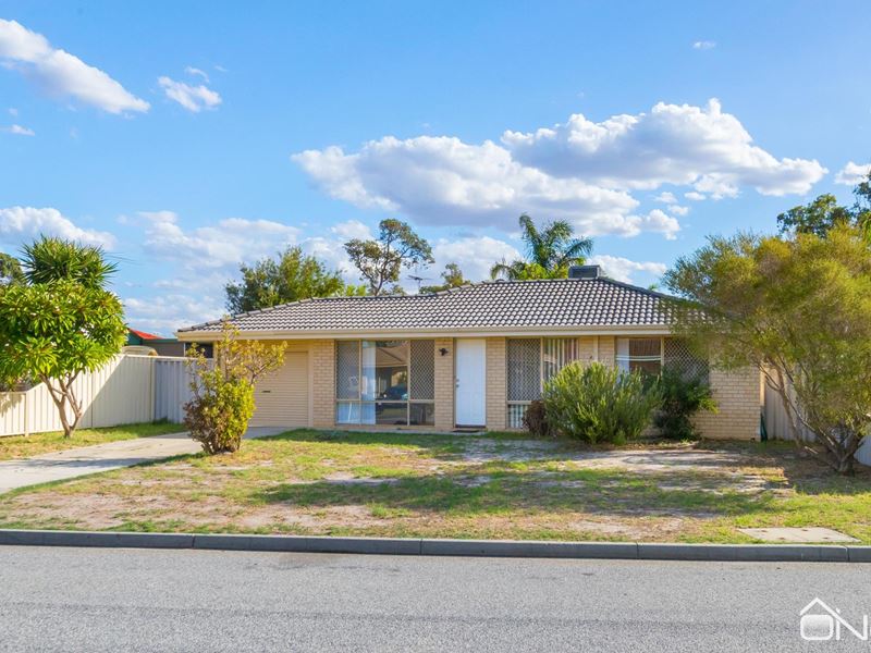 19 Haynes Court, Armadale WA 6112