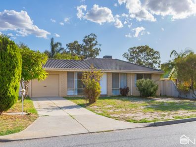 19 Haynes Court, Armadale WA 6112