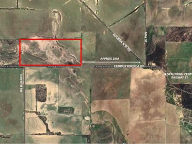 Lot 562,  Koorda Wongan Hills Road, Badgerin Rock WA 6475