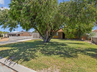 35 AMMON AVENUE, Ledge Point WA 6043