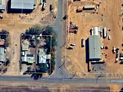 29 Eleanor Street, Mingenew WA 6522