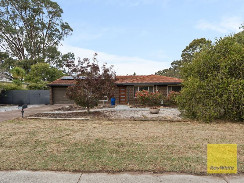 46 Akebia Way, Forrestfield WA 6058