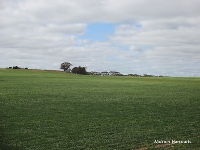 4333 Kulin Holt Rock Road, Pingaring WA 6357