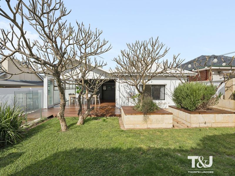 252 Woodside Street, Doubleview WA 6018