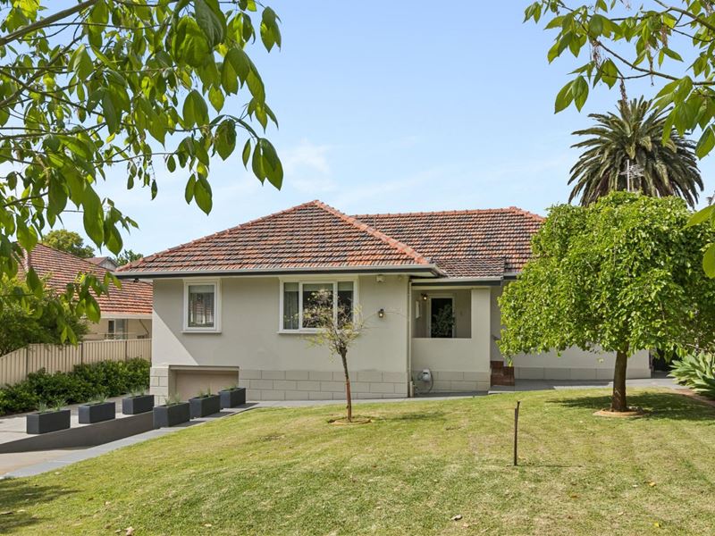 8 Woodlands Street, Menora WA 6050