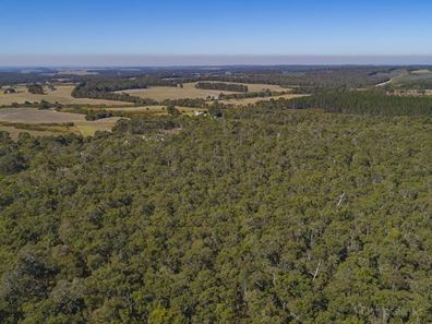 Lot 22 Bussell Highway, Forest Grove WA 6286