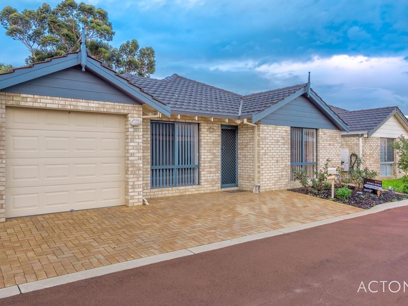 26 Saffron Loop, Falcon
