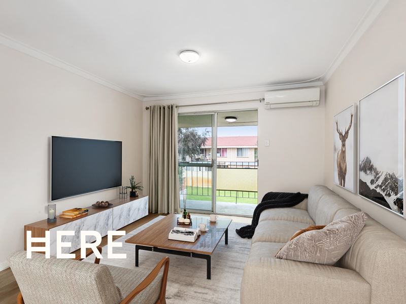 B6/305 Harborne Street, Glendalough
