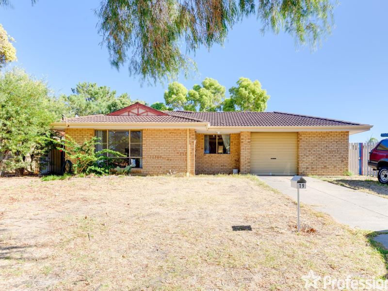 19 Gnangara Drive, Waikiki