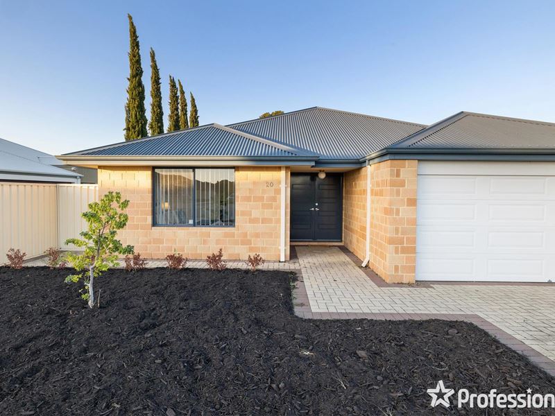 20 Firebrace Elbow, Canning Vale