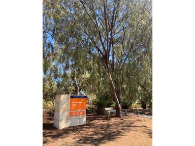 Lot 800, 31 Framton Way, Madeley WA 6065