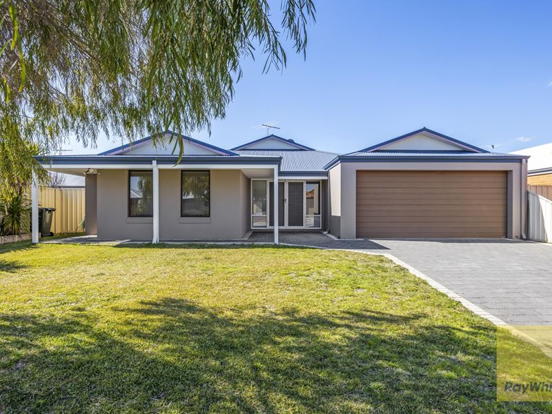 11 Extensa Road, Wattle Grove