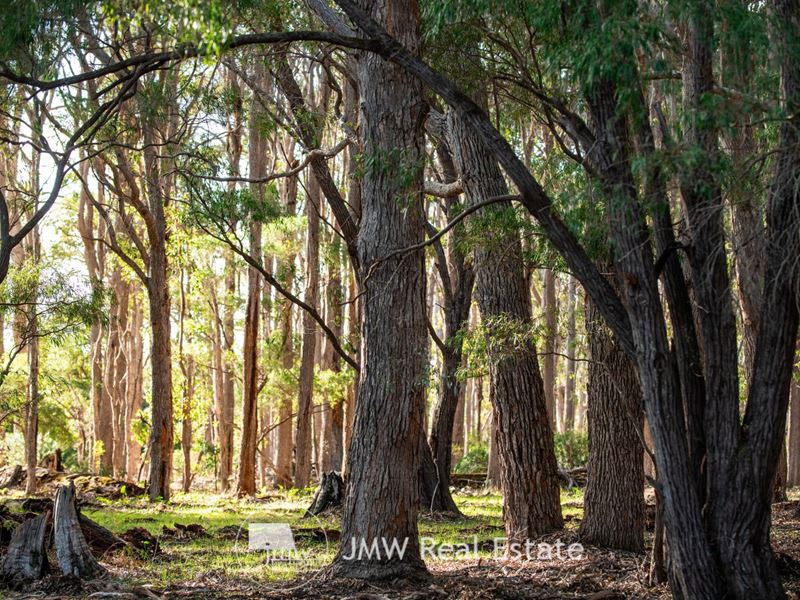 WITCHCLIFFE FOREST ESTATE, Witchcliffe WA 6286