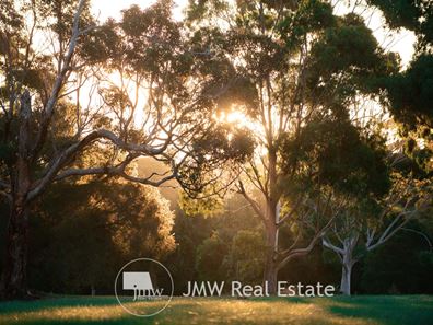WITCHCLIFFE FOREST ESTATE, Witchcliffe WA 6286