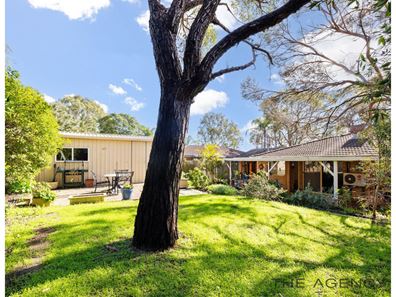 46 Williambury Drive, Yangebup WA 6164