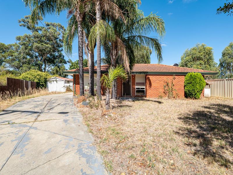 14 Balanda Place, Armadale WA 6112