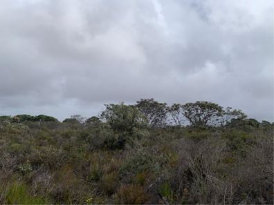 85 Orchid road, Hopetoun WA 6348